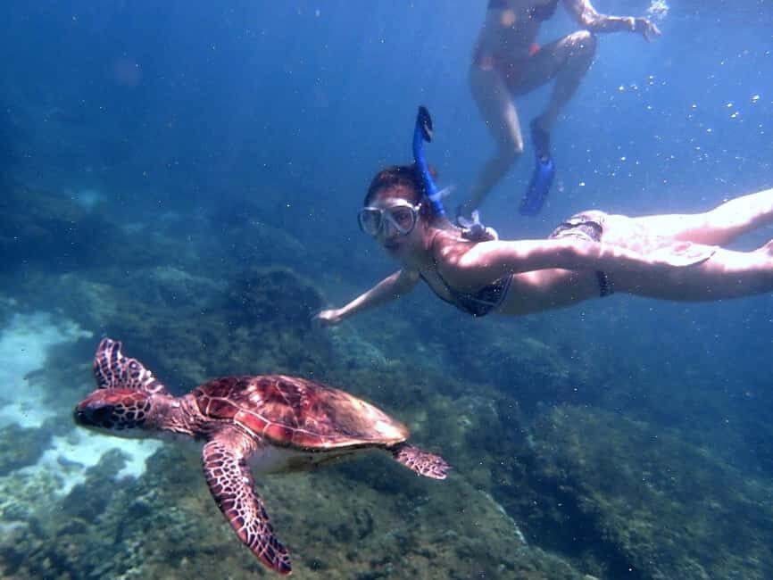 Dimaniyat Islands Snorkeling Trip - Who Is This Tour Best For?