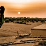 Dinner In Agafay Desert from Marrakech - Dining in the Desert: Moroccan Food & Culture