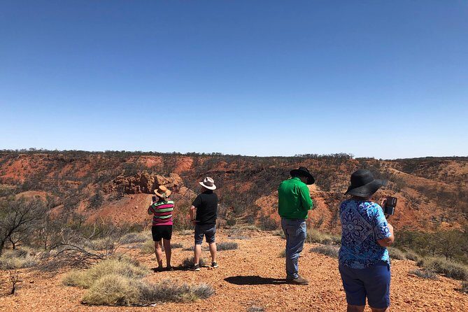 Dinosaur Stampede 3/4 Day Tour - Why This Tour Works So Well