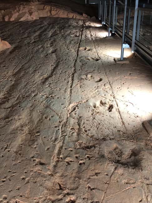 Dinosaur Stampede 3/4 Day Tour - Who Would Love This Tour?