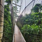 Discover Cape Coast and Elmina Castle with Kakum - Price and Value