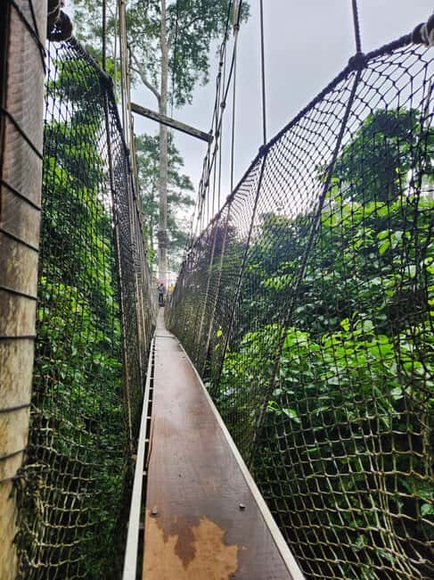 Discover Cape Coast and Elmina Castle with Kakum - Price and Value