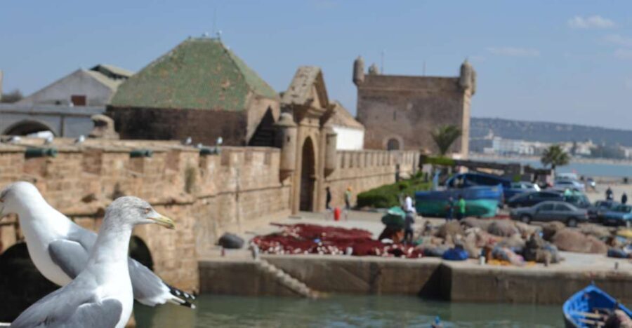 Discover Essaouira: A Day Tour from Marrakech - The Itinerary: What to Expect on This Day Trip