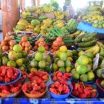 Discover Nadi - Key Points