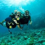 Discover Scuba Diving in Dubai - FAQ