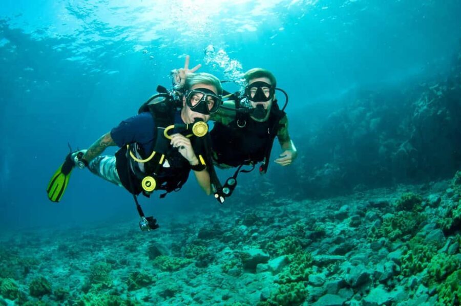 Discover Scuba Diving in Dubai - FAQ