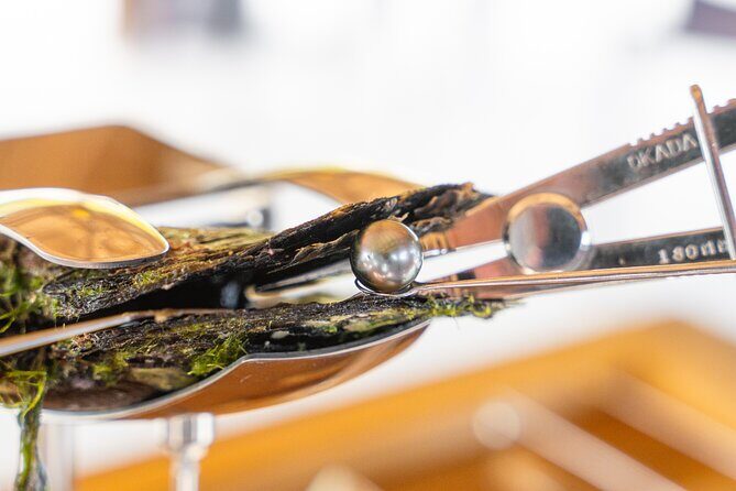 Discover the black pearl in Bora Bora - The Logistics and Practicalities