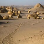 Discover Wadi Hitan, Egypts Prehistoric Wonder! - Practical Details and What Travelers Say