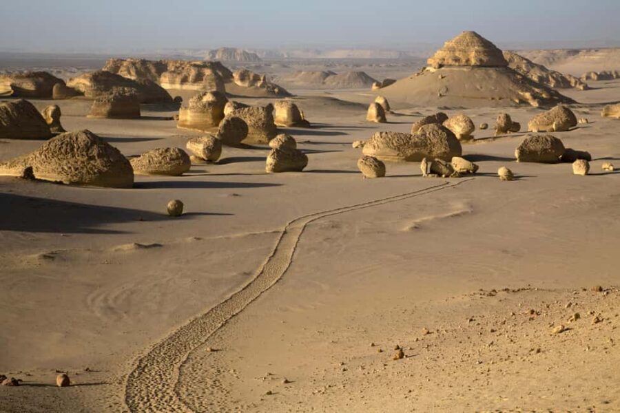 Discover Wadi Hitan, Egypts Prehistoric Wonder! - Practical Details and What Travelers Say