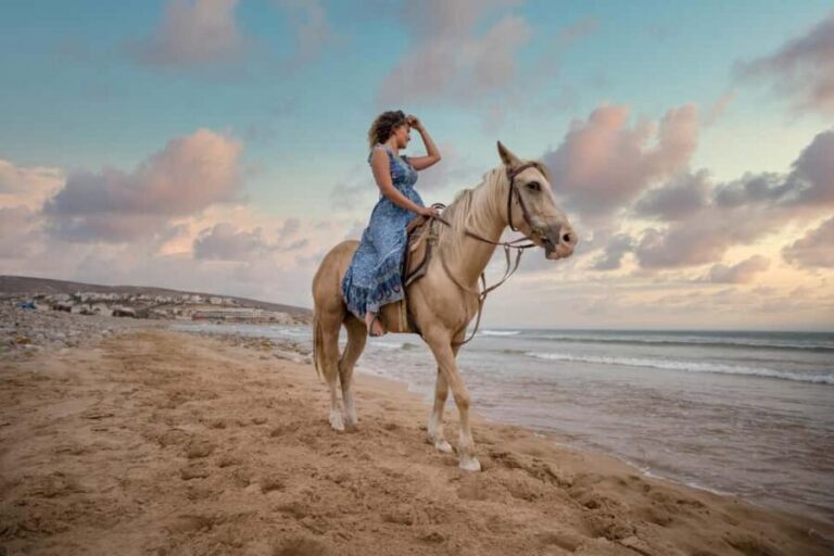 Doha : Arabian Horse Ride Experience With Transfer - The Riding Experience and Desert Scenery