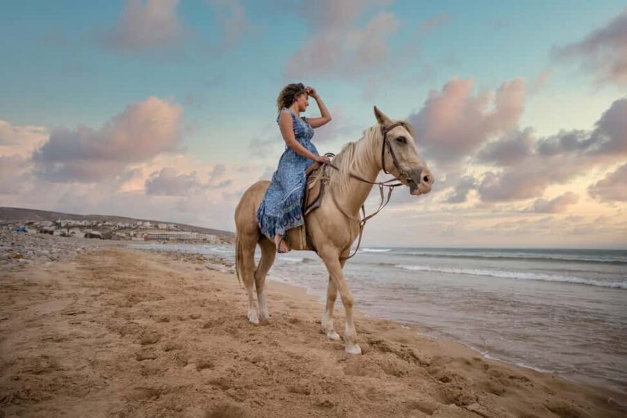 Doha : Arabian Horse Ride Experience With Transfer - The Riding Experience and Desert Scenery