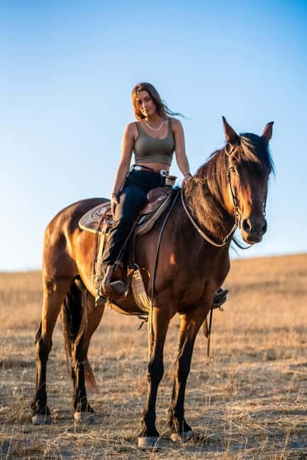 Doha: Arabian Horse Riding in the Desert or by the Sea - Why This Tour Offers Great Value