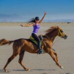 Doha: Arabian Horse Riding on the Seashore with Pickup - What to Expect on the Tour