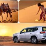 Doha: ATV, Quad/Buggy Dune Bashing, Camel Ride, Sandboarding - Key Points