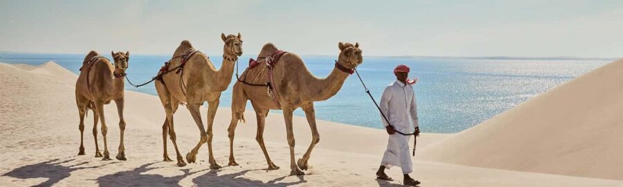Doha: ATV/Quad & Buggy, Dune Bashing, CamelRide&Sandboarding - A Balanced Look at the Experience