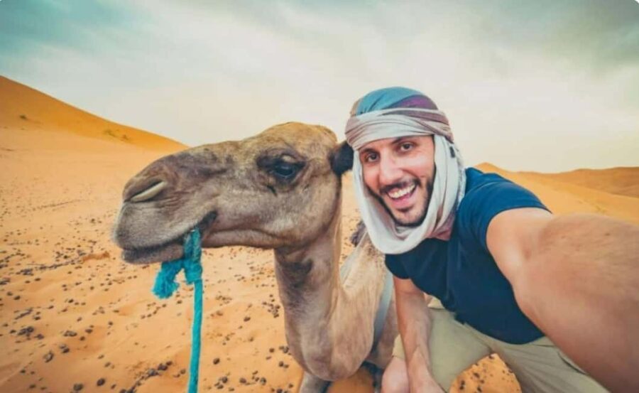Doha: ATV, Quad or Buggy, Dune Bashing, Camel & Sandboarding - What Makes This Tour Stand Out?
