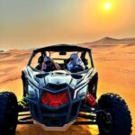 Doha: Buggy Adventure and desert safari - Why This Tour Offers Value