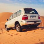 Doha City Tour with Desert Safari and Inland Sea Visit - What’s Included and What’s Not
