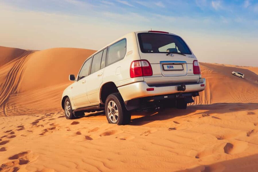 Doha City Tour with Desert Safari and Inland Sea Visit - What’s Included and What’s Not