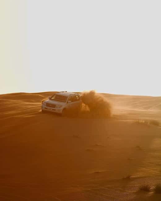 Doha Desert Excursion, Camel Ride, Inland sea, Sandboarding - Who Should Consider This Tour?