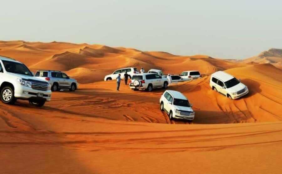 Doha: Desert Safari, Camel Ride, Dune Bashing and Quad Bike - Final Reflection: Is It Worth It?