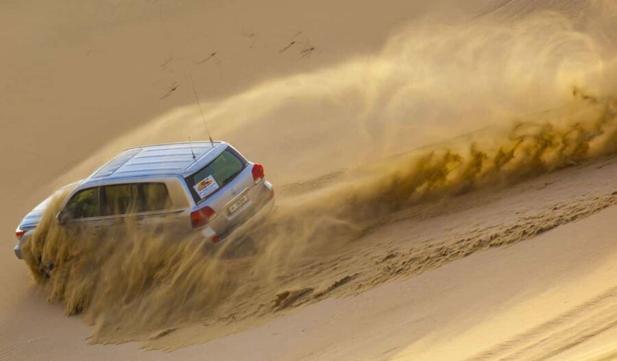 Doha: Desert safari + FREE camel ride from CRUISE TERMINAL - What’s Included and What Not
