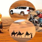 Doha: Desert Safari, Inland Sea, Camel Ride, Sandboarding - Practical Tips for Travelers