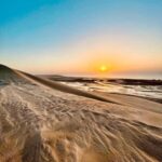 Doha: Desert Safari Sunrise Tour/Sunset Tour - What Makes This Tour Stand Out?