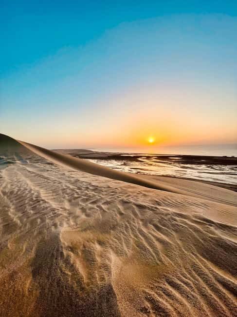 Doha: Desert Safari Sunrise Tour/Sunset Tour - What Makes This Tour Stand Out?