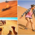 Doha: Desert Safari, Swimming Activities/InlandSea Beach - Authentic Feedback from Travelers