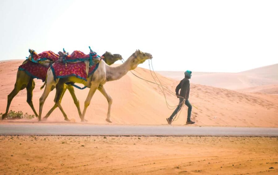 Doha: Desert Safari with Dune Bashing & Camel Ride - The Logistics and Price: Is It Good Value?