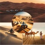 Doha: Desert Safari with Quad Bike, Sandboard & Camel Ride - Key Points