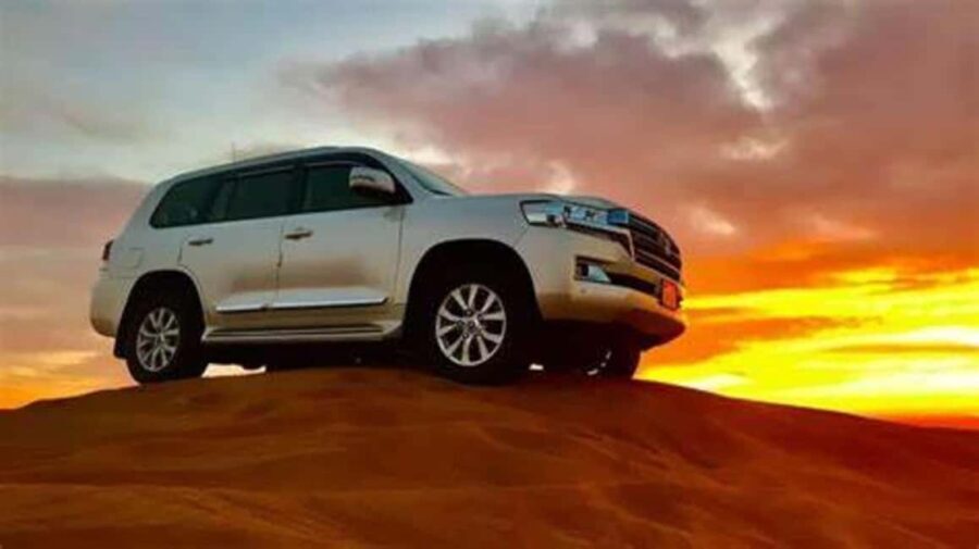 Doha: Full-Day Desert Safari, Dune Bashing & BBQ Dinner - Who Is This Tour Best For?