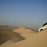 Doha: Full Day Desert Safari with Lunch or Dinner - Who Will Love This Tour?