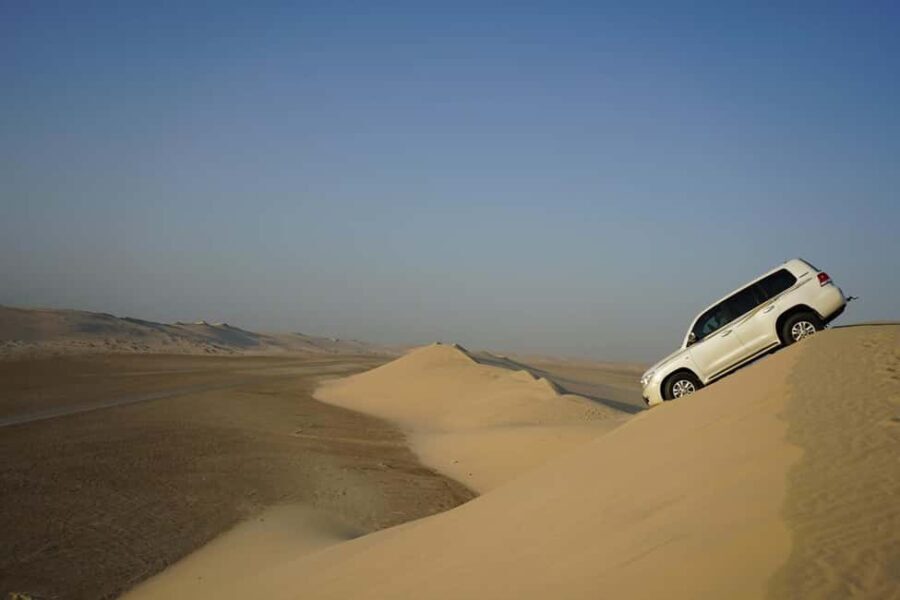 Doha: Full Day Desert Safari with Lunch or Dinner - Who Will Love This Tour?