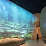 Doha Guided City Tour - Practical Details and What to Expect