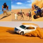 Doha: Half-Day Desert Safari, CamelRide/SandBoarding - Why Choose This Tour?