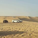 Doha: Half Day Desert Safari From Airport/Hotel/Cruise Port - Why This Tour Offers Good Value