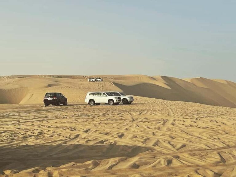 Doha: Half Day Desert Safari From Airport/Hotel/Cruise Port - Why This Tour Offers Good Value