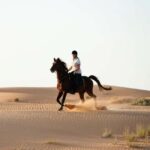 Doha: Horse Riding and Camel Ride Tour - The Details That Matter