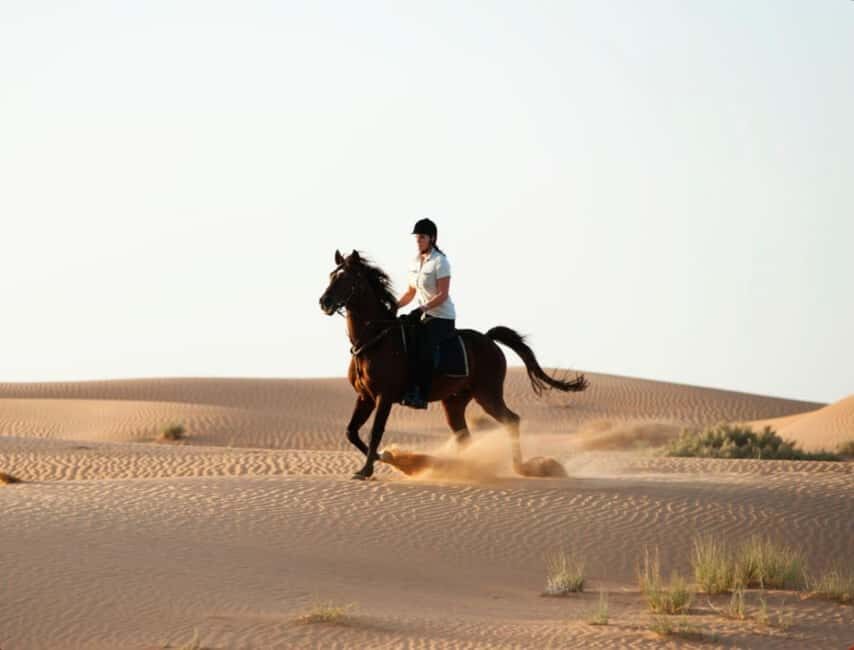 Doha: Horse Riding and Camel Ride Tour - The Details That Matter