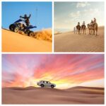 Doha Layover Desert Tour, Camel Ride and Inland sea - Is This Tour Worth the Price?