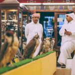 Doha: Night City Lights Tour with Arabian Dhow Cruise - Practical Details and Value