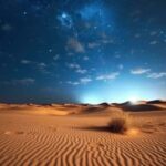Doha Night Desert Safari Stargazing And Camel Ride - Final Thoughts