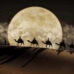 Doha: Night Desert Safari, Stargazing, Dune Driving &Inland - Why We Think This Tour Is Worth Considering