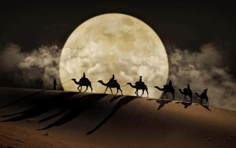 Doha: Night Desert Safari, Stargazing, Dune Driving &Inland - Why We Think This Tour Is Worth Considering