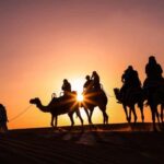 Doha: Night Desert Safari with Camel Ride and Sandboarding - The Itinerary Breakdown