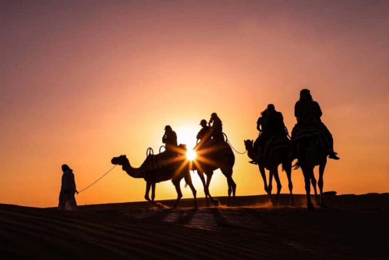 Doha: Night Desert Safari with Camel Ride and Sandboarding - The Itinerary Breakdown