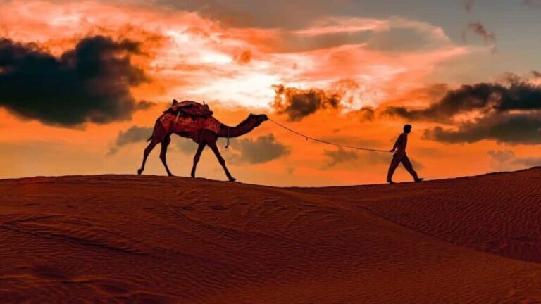 Doha: Night safari & STARGAZING-free camel ride, falcon, ATV - Practical Tips for Travelers