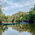 Doha: North Qatar Tour, Mangroves, & Zubara Fort and purple - The Itinerary in Detail: What to Expect